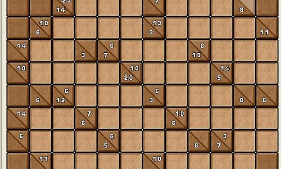 A Brain Teaser Called Sudoku Puzzles